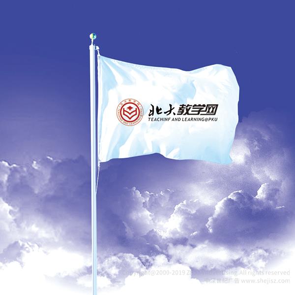 教學學校標志設計,深圳logo設計公司 北大教學網 網站標志設計